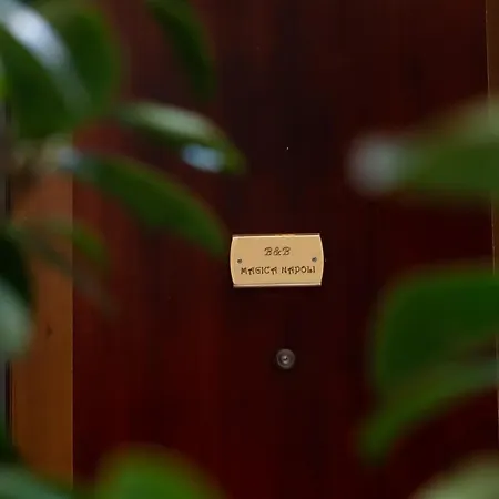 Gæstehus Yes I Know My - Magica 4*